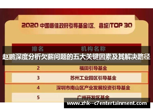 赵鹏深度分析欠薪问题的五大关键因素及其解决路径