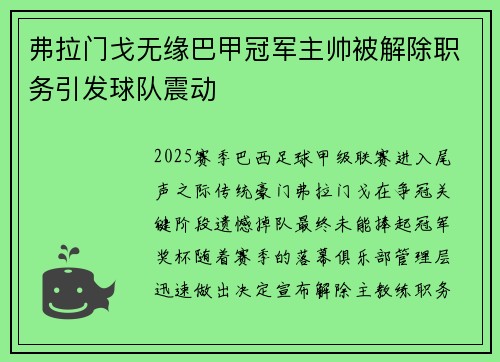 弗拉门戈无缘巴甲冠军主帅被解除职务引发球队震动